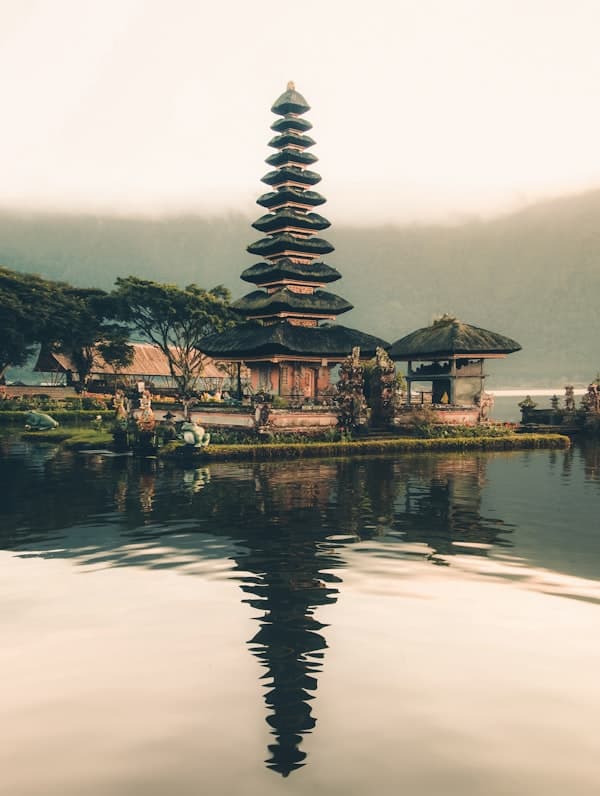 Bali rice fields